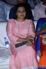 Naa Peru Surya Naa Illu India Pre Release Event Photos